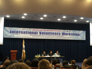 International Volunteer Workshop